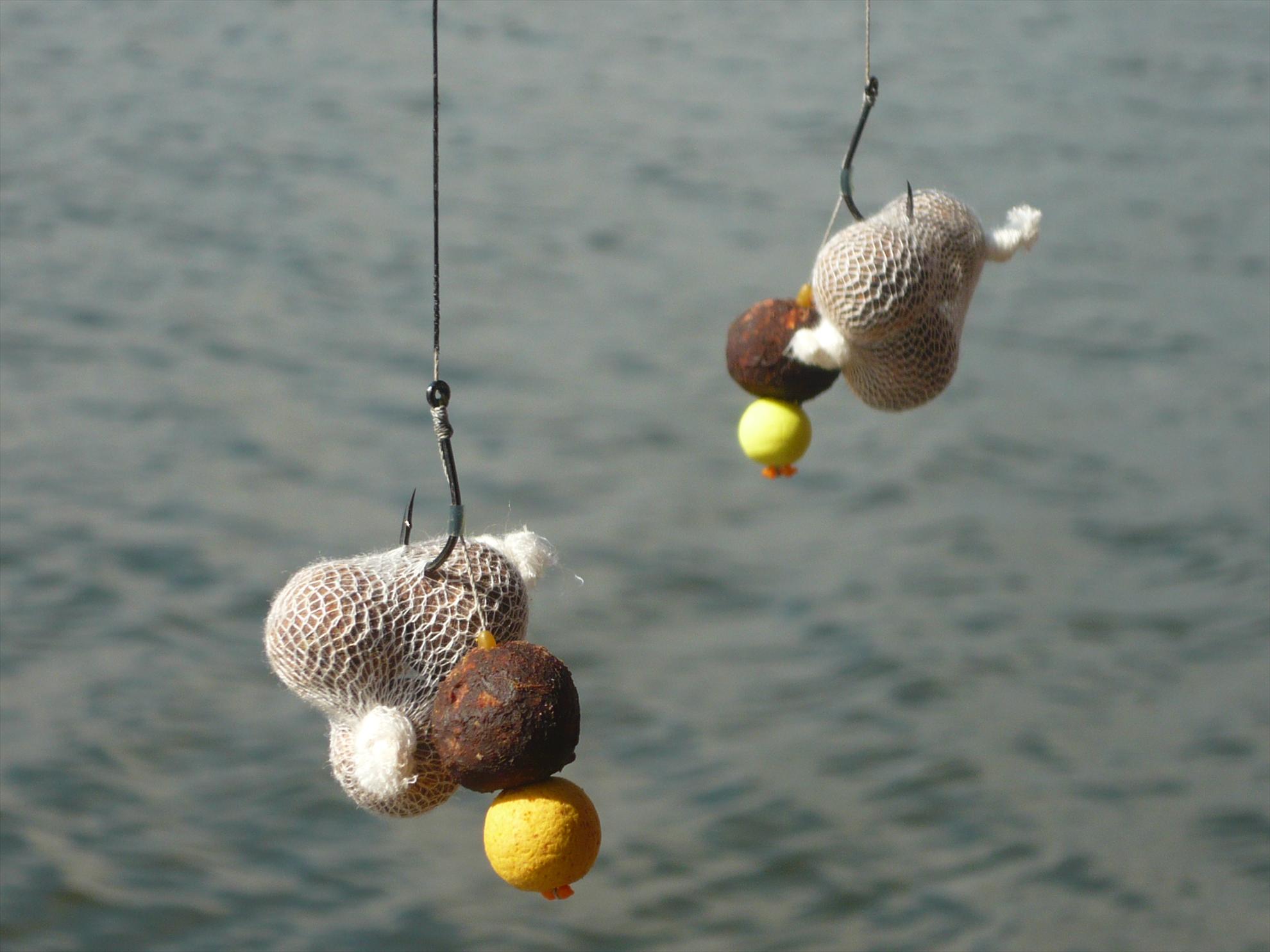 Best-2010 - p1020522.JPG